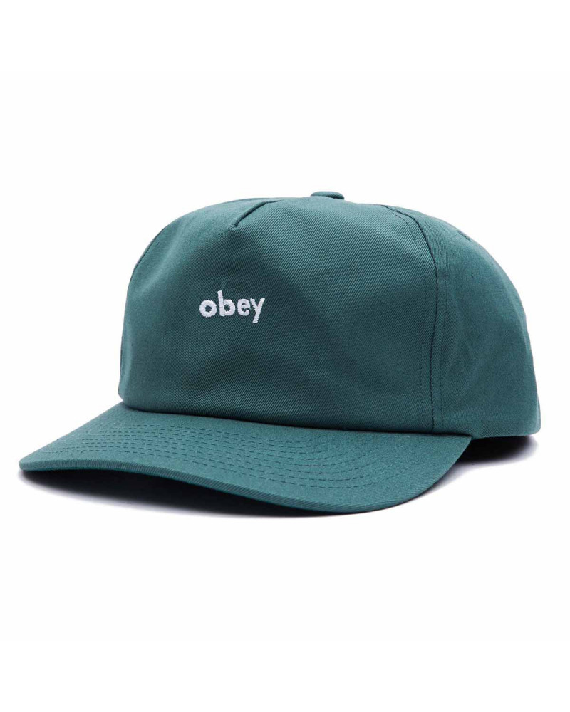 Obey Lowercase Snapback Sage